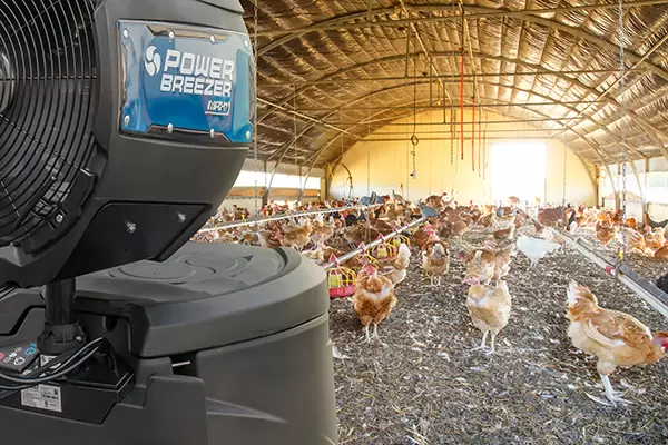 power breezer max evaporative cooler at chicken farm