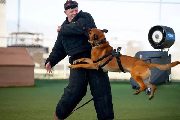 power breezer titan police training